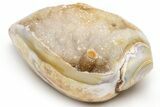 Chalcedony Replaced Gastropod With Sparkly Quartz - India #225566-1